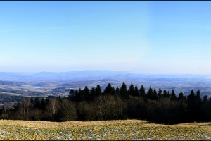 Depuis la chaume_33