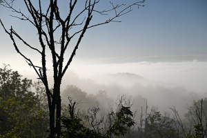 Le Creusot dans le brouillard_1