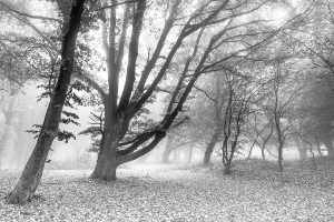 photo_7