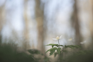 photo_2