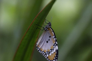 photo_6