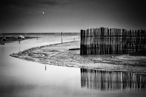 photo_5