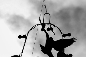 photo_7