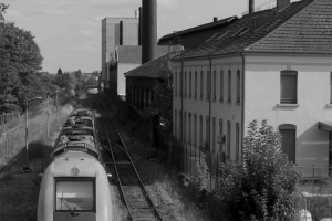 photo_9