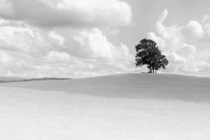 Solitude