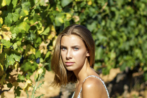 Au détour d'une vigne 04