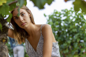 Regard dans les vignes 2