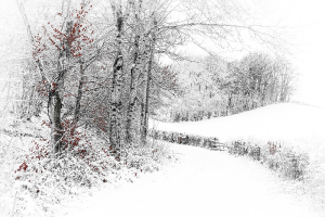 Silence blanc 1