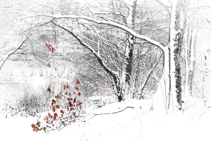 Silence blanc 2