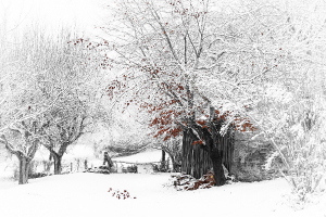 Silence blanc 4