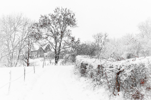 Silence blanc 5