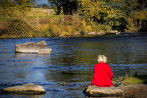Contemplation