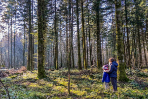 Détour en forêt