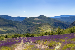 Drôme provençale