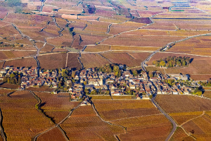 Pommard