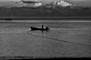 2021 Regional IP Monochrome