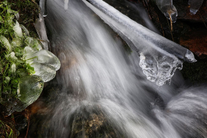 Filet d'eau