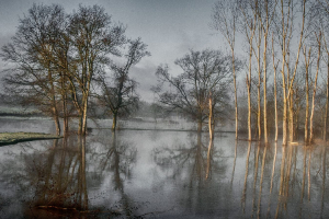 Les pieds dans l'eau