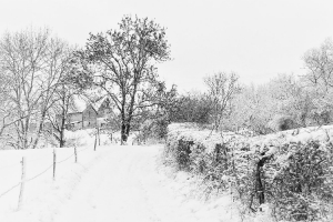 Manteau blanc