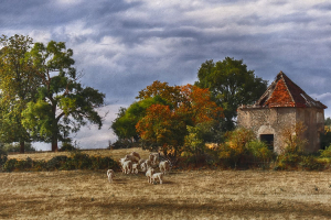 Retour à la ferme