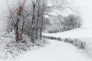 Silence blanc