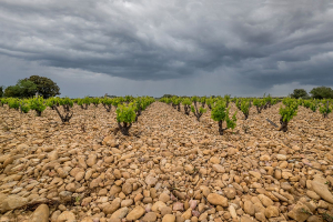 L'orage gronde