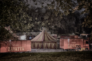 Quel cirque