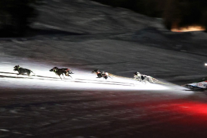 Course de nuit