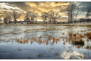 Etang gelé