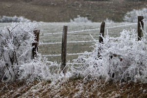 givre