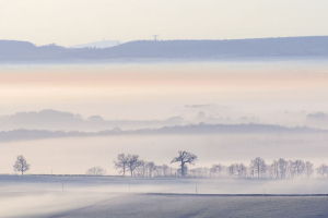 L'aube brumeuse