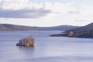 L'île du Salagou