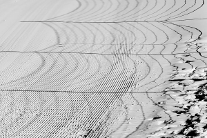 2022 Regional IP monochrome