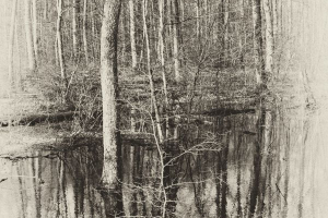 2022 Regional papier monochrome