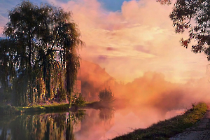 Canal en feu DUMONT Yves