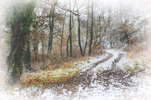 Frisson d'hiver BEAUFILS Monique