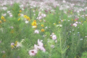 Pastel GAUTHIER Alain
