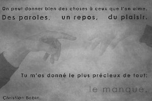 Le manque - GUINOT Elisabeth 12