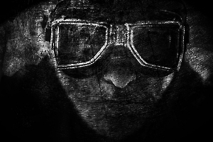 2025 N1 image projetee monochrome