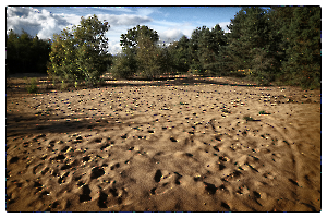 Environnement NAT - GUILLET Gilles 1