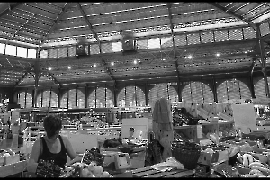 2025 Regional Image Projetée Monochrome