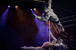Pole dance - MILLIET Laurent 1