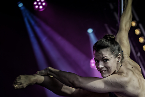 Pole dance - MILLIET Laurent 2
