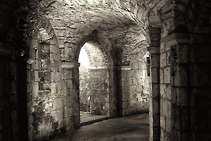 Crypte St Philibert TOURNUS DELEY Daniel