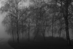 Dans la brume BRUGNOT Andrée Claude