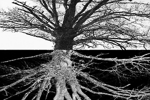Arbor BOURDEAU Roger_03