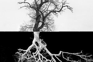 Arbor BOURDEAU Roger_05
