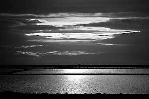 2024 Regional IP  Monochrome