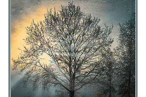 Lumière hivernale - Lamboeuf B