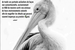 B_Lamboeuf_Bestiaire1
